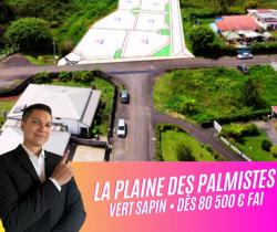 Terrains à bâtir  La Plaine Des Palmistes 