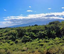 Terrain  Saint Pierre 