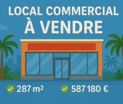 Locaux commerciaux 