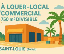 Locaux commerciaux  Saint Louis 