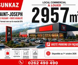 Locaux commerciaux 