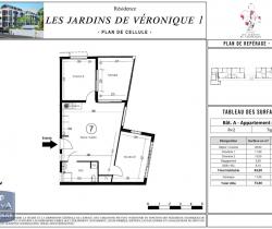 Appartement 3 pièce(s)  62 m2