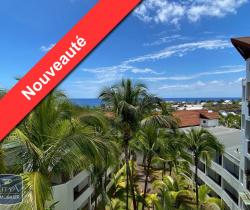 Appartement studio 49 m2